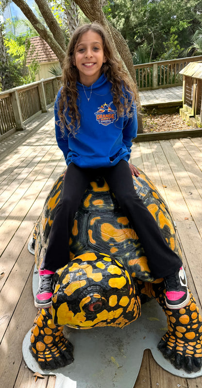 Youth / Youth Athlete / Adult Athlete Port City Orange Army Hoodies
